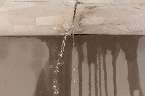 Professional Structural Drying technician working in Bells, TX